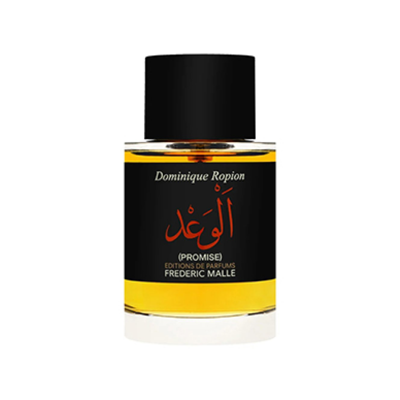 PROMISE الوعد