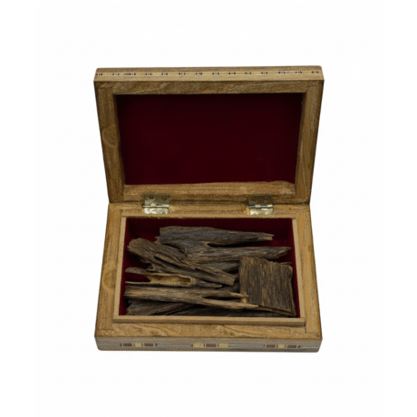 OUD BANGLADESHI ZURA