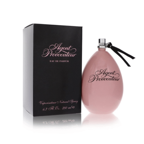 AGENT PROVOCATEUR