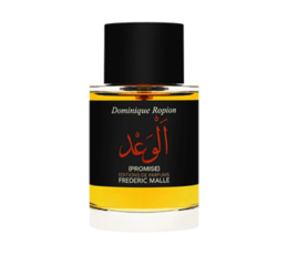 PROMISE الوعد