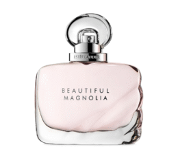 BEAUTIFUL MAGNOLIA