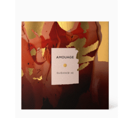 GUIDANCE 46