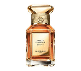 VANILLE PLANIFOLIA EXTRAIT 21