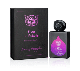 FICUS IN FABULA - LIMITED EDITION