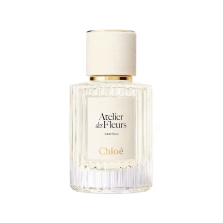 CHLOE CEDRUS
