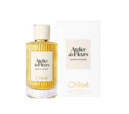 CHLOE CEDRUS INTENSE