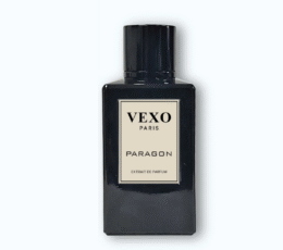 PARAGON