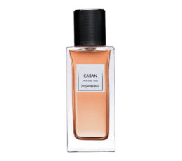 YSL CABAN