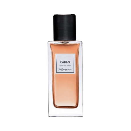 YSL CABAN