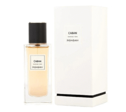 YSL CABAN